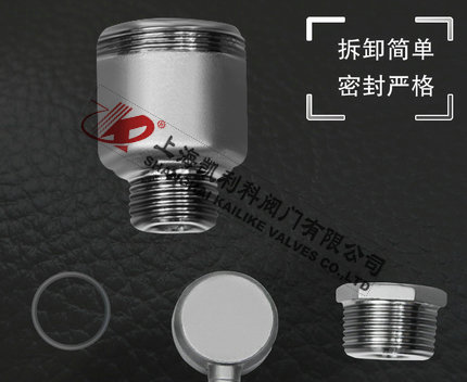 AVAX不銹鋼自動排氣閥可拆卸設(shè)計細(xì)節(jié)說明